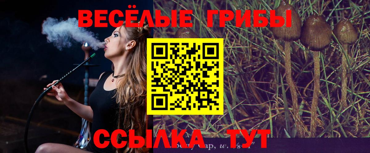 Псилоцибиновые грибы Magic Shrooms Нурлат