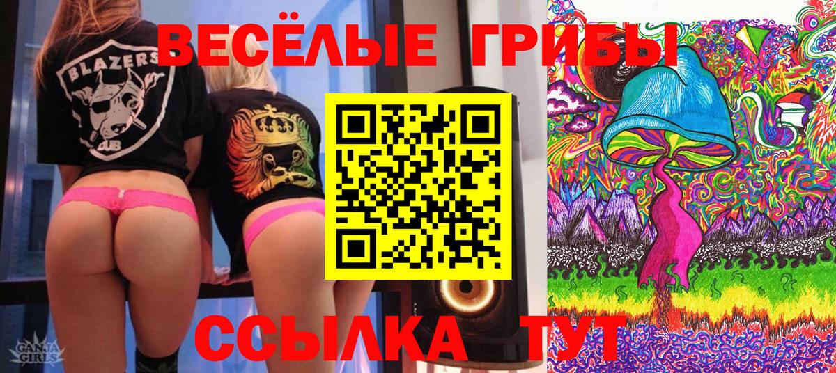 Галлюциногенные грибы Magic Shrooms  Вход с VPN  Галлюциногенные грибы Cubensis  Нурлат 